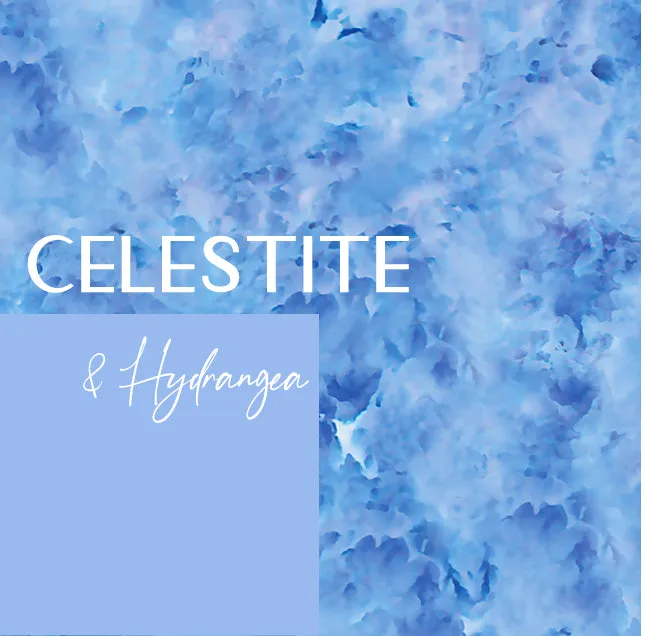 Guadalupe Bottom| Celestite   Hydrangea