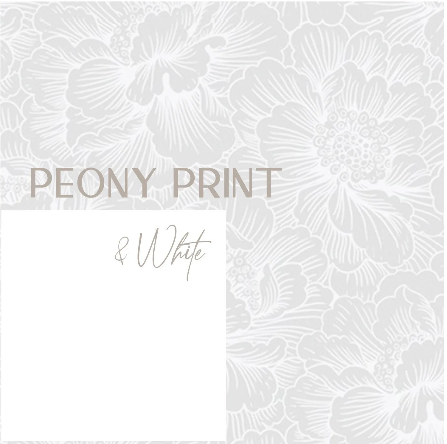 Midway Onesie| Peony   White