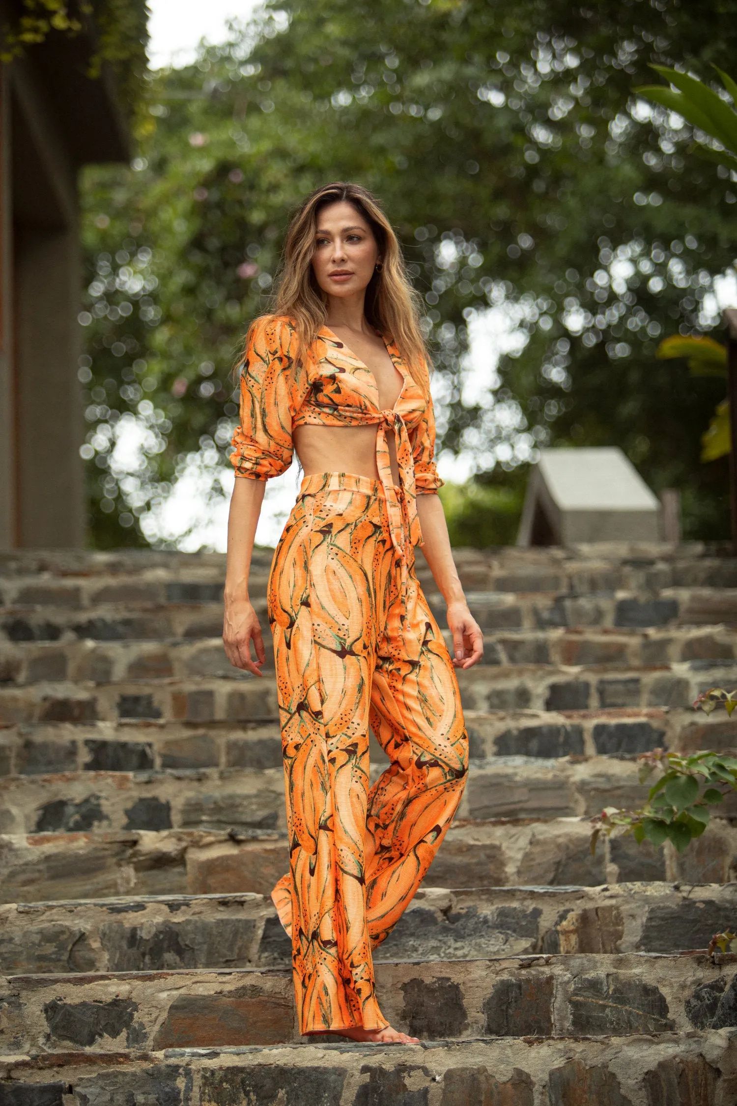 Orange Magia One Piece