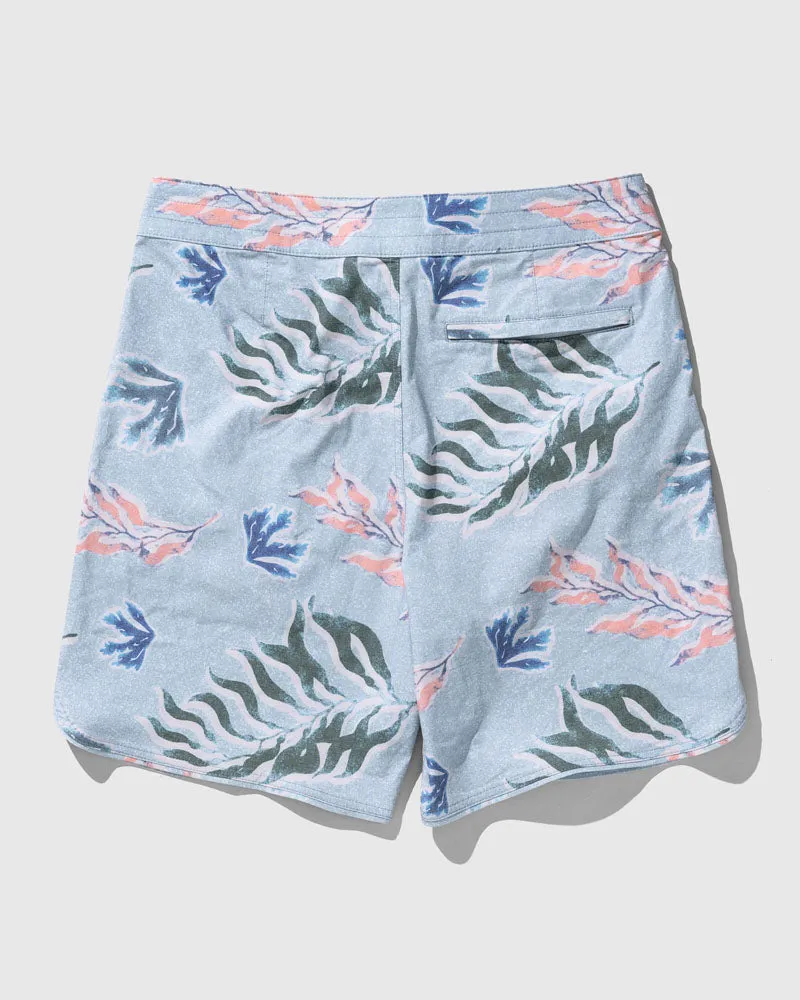 Scallop Board Short